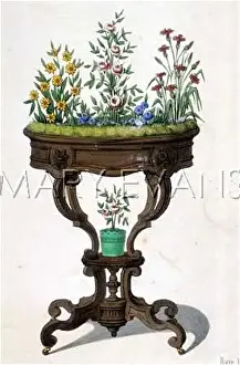 Jardiniere: JARDINIERE C18