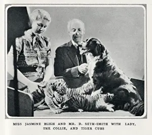 Bligh: Jasmine Bligh, David Seth-Smith with collie & tiger cubs