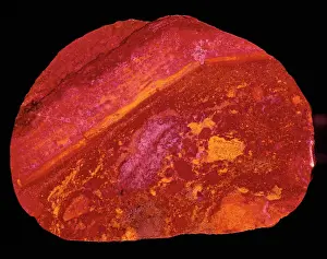 Jasper: Jasper