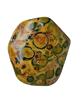 Polished: Jasper