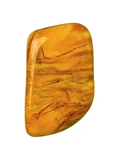Polished: Jasper
