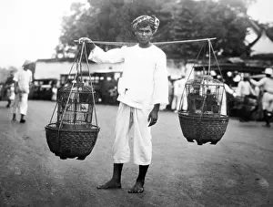 Javanese: Java Bird seller probably 1920s