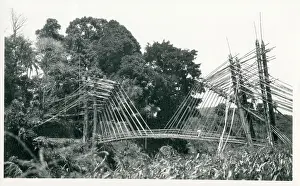 Bracing: Java, Indonesia - remarkable bridge