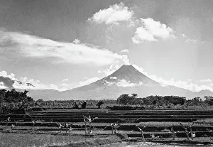 Java: Java island