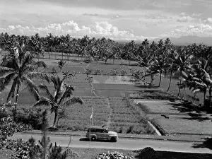 Java: Java island