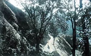 Thecolourisedpic: JAVANESE LANDSCAPE