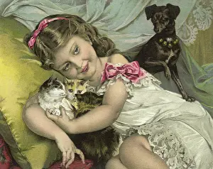 Curls: Jealous Dog