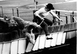 Briggs: Jean Briggs and Her Afghan Hound