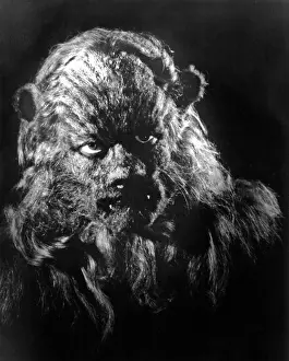 Bete: Jean Marais - actor - Hollywood