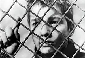 Zenith: Jean-Pierre Leaud - boy - actor - child