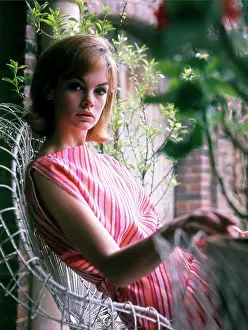 Shrimpton: Jean Shrimpton -