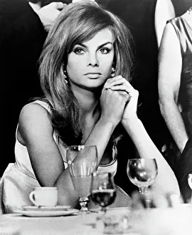 Shrimpton: Jean Shrimpton - Actress - Model