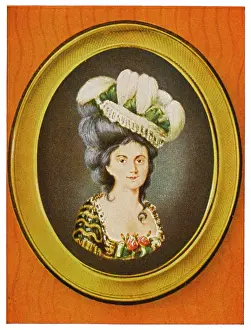 Comtesse: Jeane Becu, Comtesse du Barry