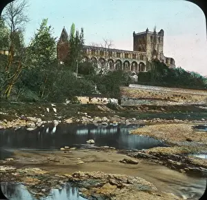 Jedburgh: Jedburgh Abbey, Scottish Borders, Scotland