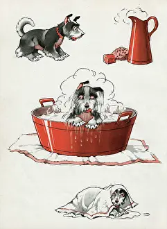 Gresham Marketing Gmbh: Jeek the puppy on bath day