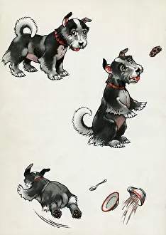 Teacup: Jeek the puppy getting into trouble