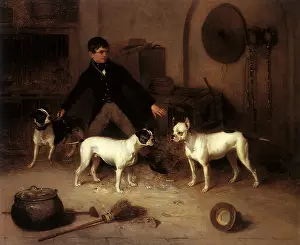 Kennel: Jem Burn's Four Pets