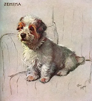 Jemima: Jemima! Drawn by Cecil Aldin