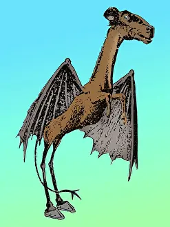 Mythical: Jersey Devil, Illustration, 1909