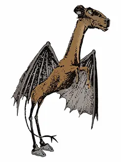 Mythical: Jersey Devil, Illustration, 1909