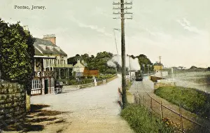 Jersey - Pontac