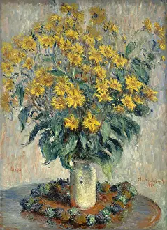Poms: Jerusalem Artichoke Flowers