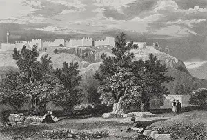Aubert: Jerusalem. Garden of Olives. Engraving by Aubert