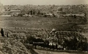 Olives: Jerusalem from the Mount of Olives