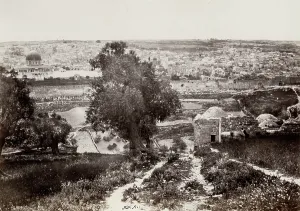 Olives: Jerusalem from the Mount of Olives