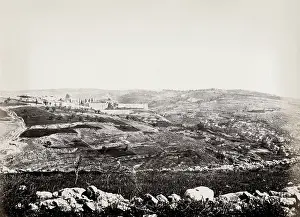 Olives: Jerusalem with Siloam and the Mount of Olives