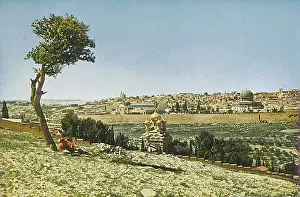 Olives: Jerusalem viewed from the Mount of Olives