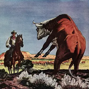 Ranchers: Jes Plumb Loco