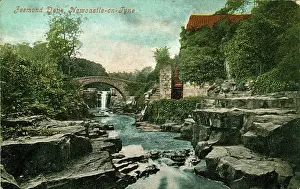 Tyne: Jesmond Dene, Jesmond, Northumberland