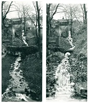 Jesmond: Jesmond Dene Mill Lade