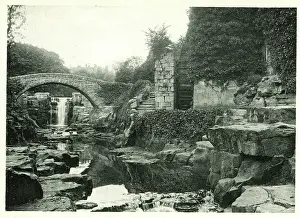Dene: Jesmond Dene, Newcastle-on-Tyne