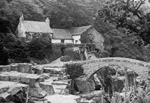 Dene: Jesmond Dene, Newcastle upon Tyne
