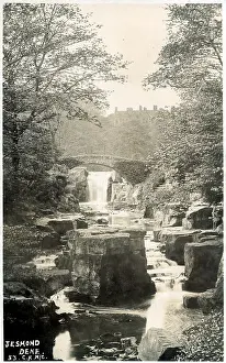Dene: Jesmond Dene - view toward waterfall - River Ouseburn