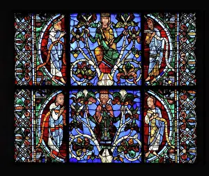Ezekiel: Jesse Tree stained glass window, Chartres cathedral, France