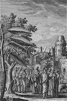 Curses: JESUS CURSES FIG TREE
