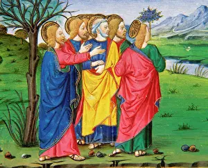 Sandals: Jesus and his disciples, going along the barren fig tree. Co