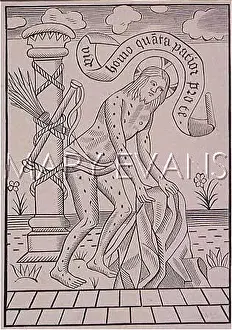 Scourged: JESUS SCOURGED
