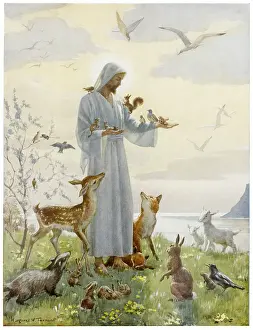 Badgers: Jesus surrounded by woodland creatures