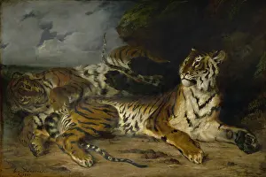 Avec: Jeune tigre