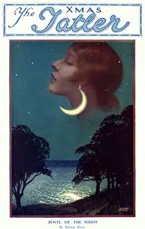 By Moonlight: Jewel of the night