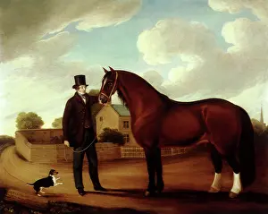 Equines: Jewel and Her Owner