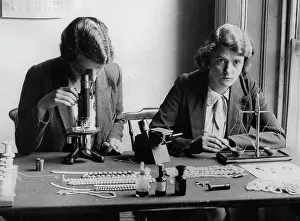 Jewelers: The two jewelers Constance (left)