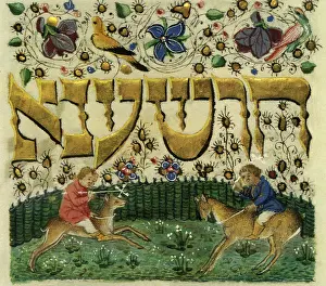 Jousting: Jewish Deer Jousting