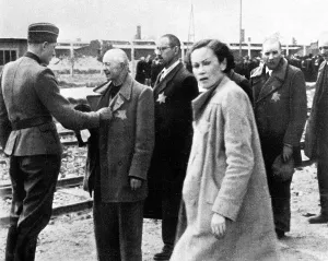 Deportation: Jewish deportees are lined up for selection
