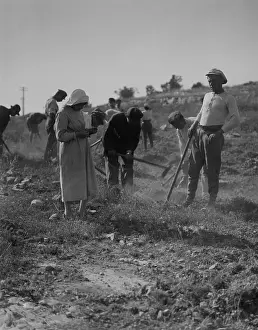 Communes: Jewish immigrants cultivating the ground ?