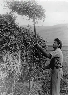 Zoltan: A Jewish peasant working in the fields